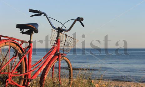 bicicletas