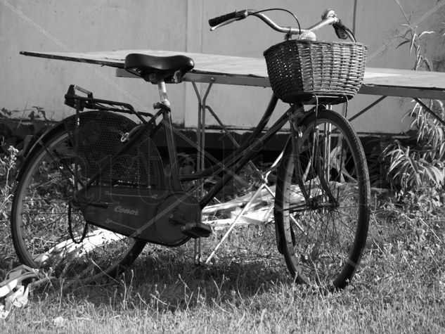 bicicleta con canasto en camping Conceptual/Abstracto Blanco y Negro (Digital)