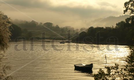 parque natural marismas de santoña