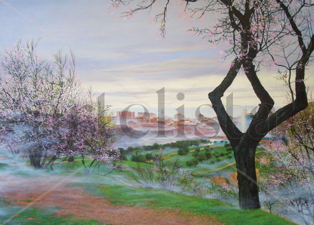 Valladolid entre la niebla
