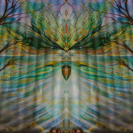 Ayahuasca dream!