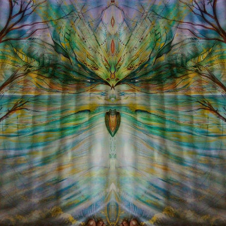 Ayahuasca dream!