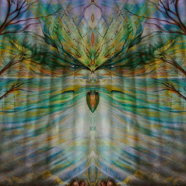 Ayahuasca dream!