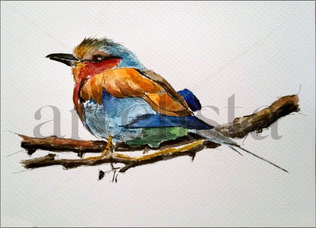 Pájaro de colores Watercolour Paper Animals