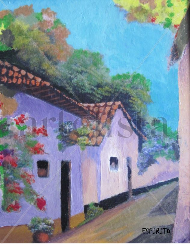 The Colombian house