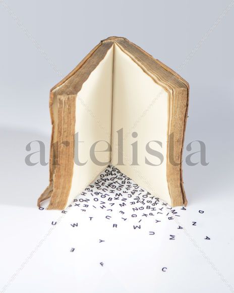 Escribí un libro...