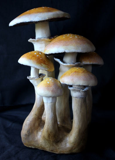 Escultura de setas. Psilocybe cubensis. Pottery Figurative