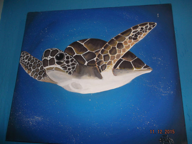 el vuelo de la tortuga