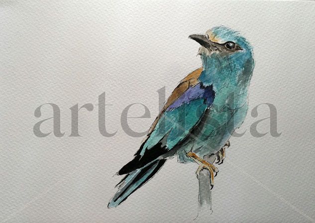 Pájaro azul Acuarela Papel Animales