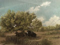 paisaje de mediodia