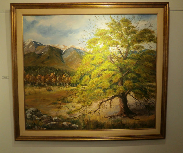 ALGARROBO Y MONTAÑAS