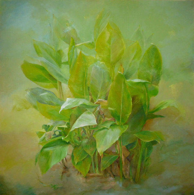 ADPIDISTRA