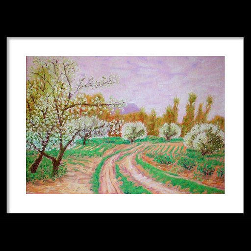 Frutales en Alberite (La Rioja) Pastel Paper Landscaping