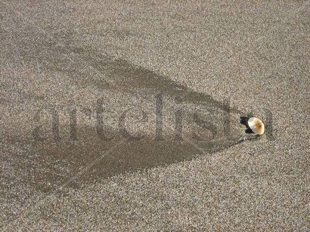 Solitario