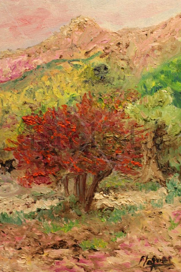 Cerezo de pastor