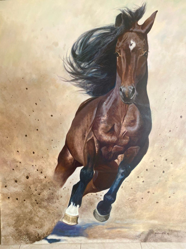 BRAVE SPIRIT