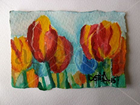 Tulipanes al Amor