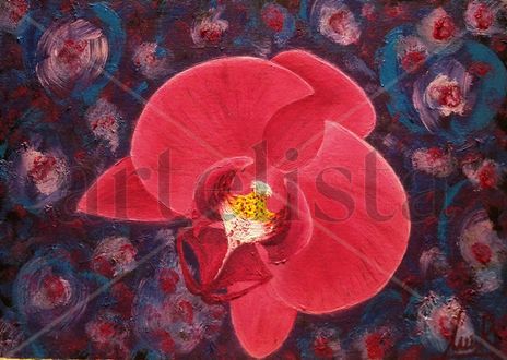 Orquidea