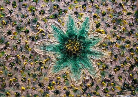 Flora y Fauna