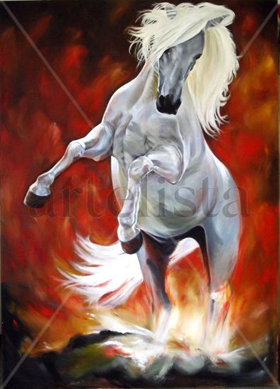 Caballo blanco 4 Oil Canvas Animals