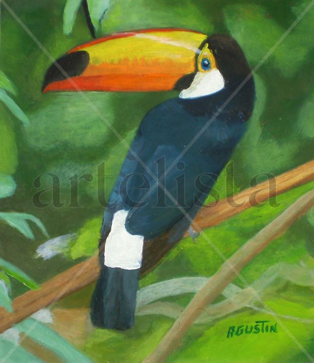 toco toucan