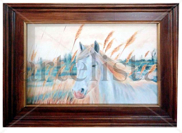 Caballo blanco Oil Canvas Animals