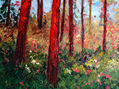 SERIE BOSQUES