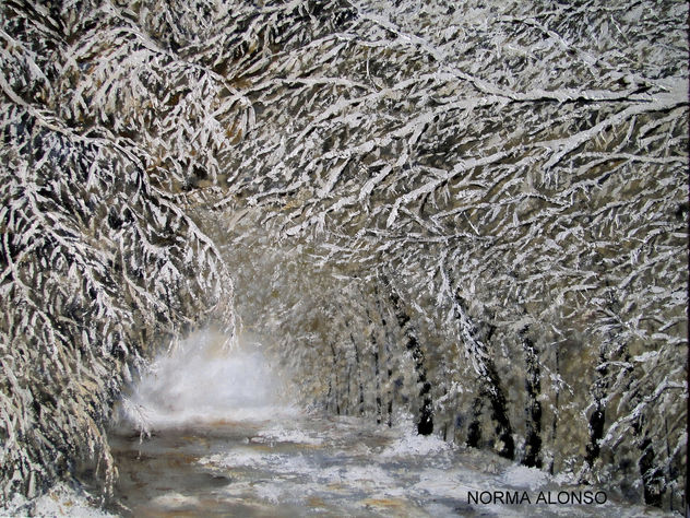 SERIE BOSQUES
