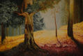 SERIE BOSQUES