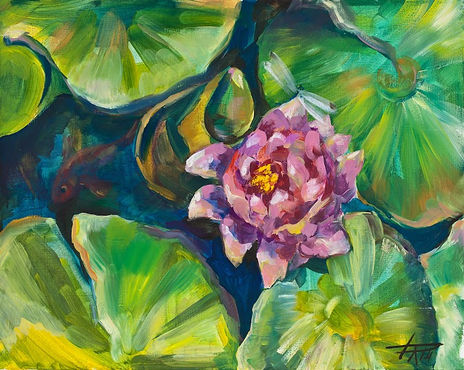 Water lily
