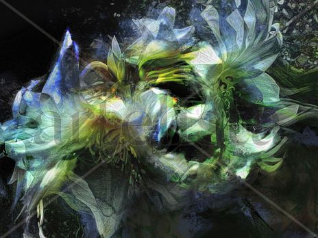Flores blancas