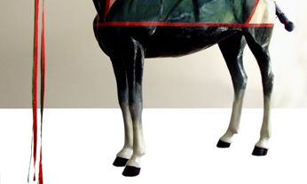 CABALLOS EN LIBERTAD