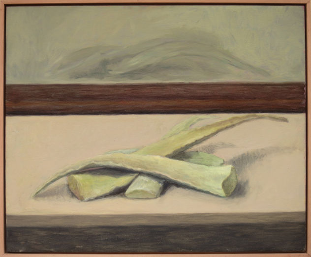 aloe sobre la mesa