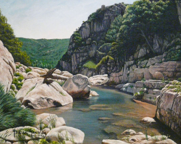 Riu Brugent (La Riba)