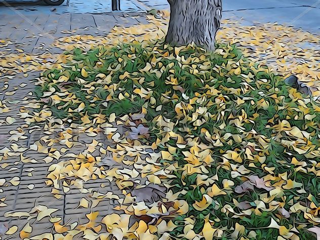 De la Serie: Árboles de Martínez, Buenos Aires.