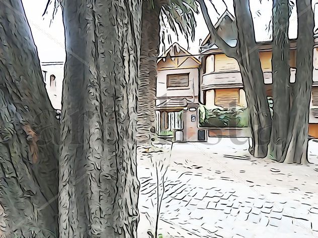 De la Serie: Árboles de Martínez, Buenos Aires.