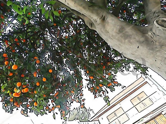 De la Serie: "Árboles de Martínez", Buenos Aires.