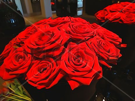De la Serie: "Flores"