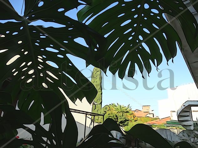 De la Serie: "Hojas, frutos"