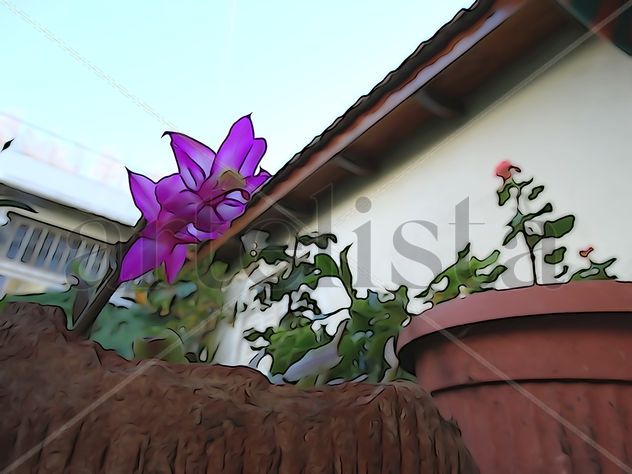 De la Serie: "Flores"