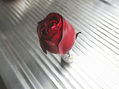 De la Serie: "Flores"