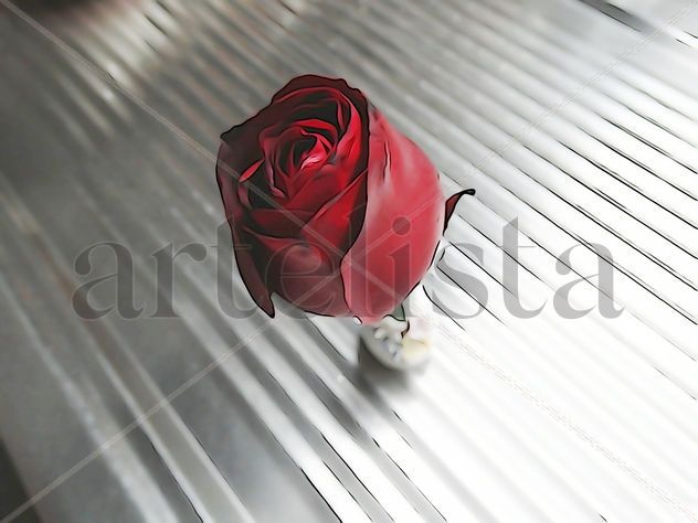 De la Serie: "Flores"