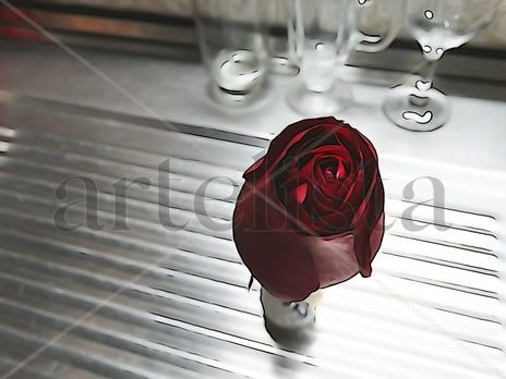 De la Serie: "Flores"
