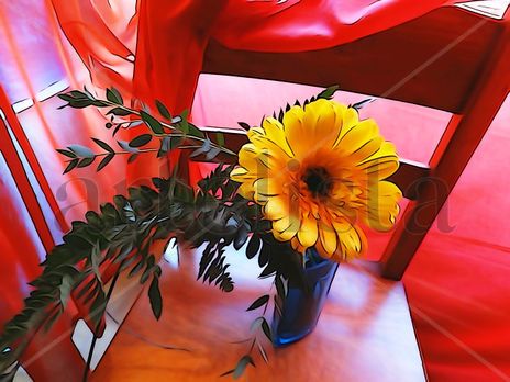 De la Serie: "Flores"