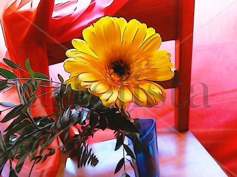 De la Serie: "Flores"