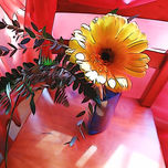 "Flores" thumbnail 2