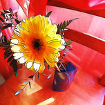 "Flores" thumbnail 1