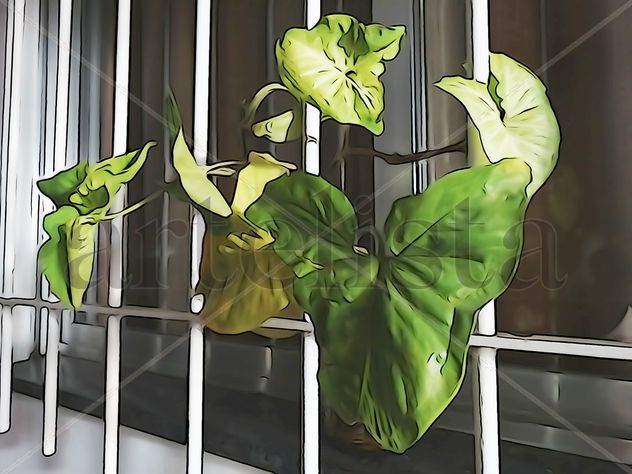 De la Serie: Hojas, frutos