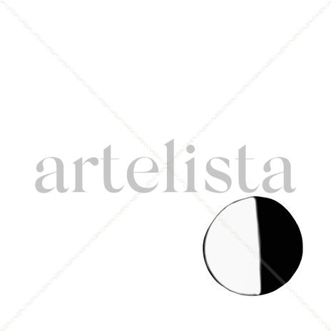Bicolor circle