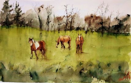 Caballos gallegos